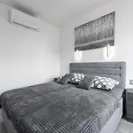 Paladium Exclusive * دوبروفينك